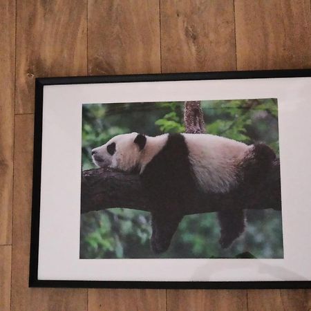 A 4 Min Du Zoo De Beauval La Maison A Partager Ch2 1Er Etage Saint-Aignan  Exteriér fotografie