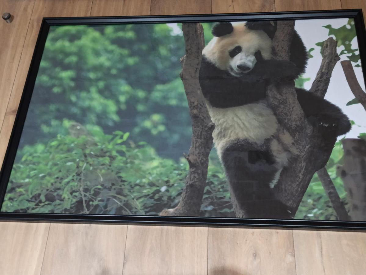 A 4 Min Du Zoo De Beauval La Maison A Partager Ch2 1Er Etage Saint-Aignan  Exteriér fotografie